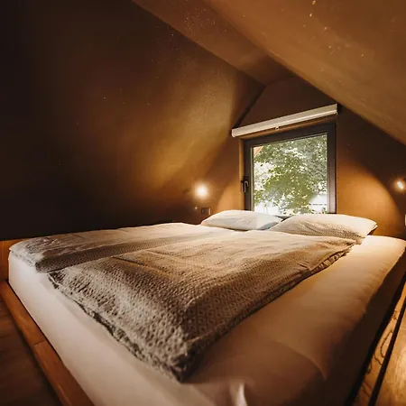 Ranc Mackadam Ranch Mackadam *