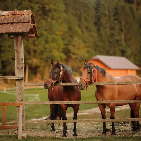 Prázdninový dům Ranc Mackadam Ranch Mackadam Tržič