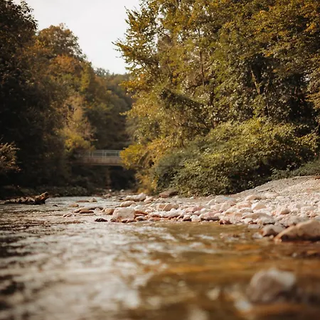 Ranc Mackadam Ranch Mackadam *