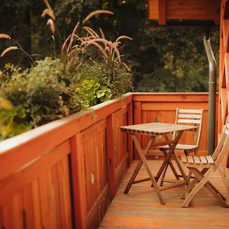 Ranc Mackadam Ranch Mackadam *