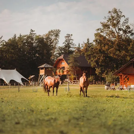 Ranc Mackadam Ranch Mackadam
