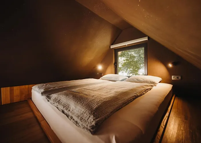 Ranc Mackadam Ranch Mackadam *