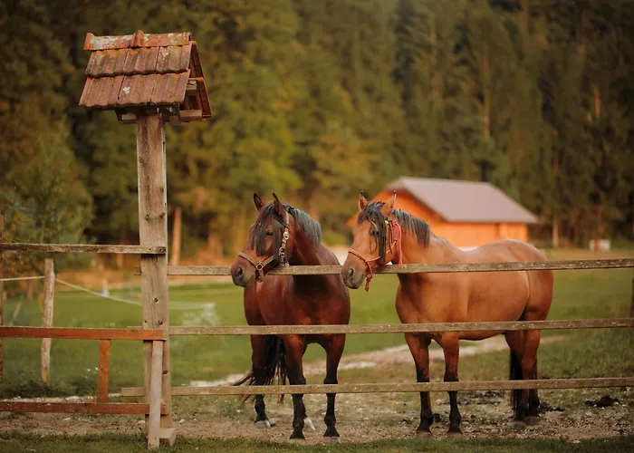 度假居 Ranc Mackadam Ranch Mackadam Tržič
