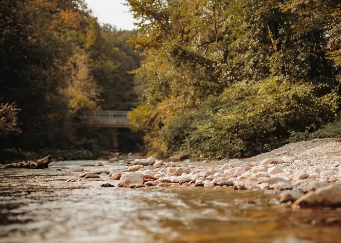 Ranc Mackadam Ranch Mackadam *