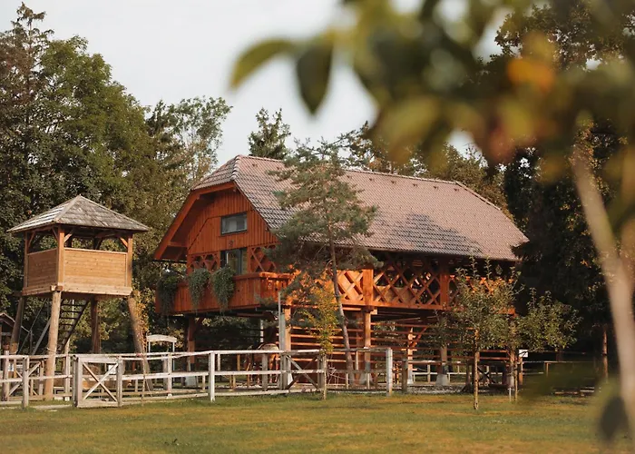 Ranc Mackadam Ranch Mackadam 度假居