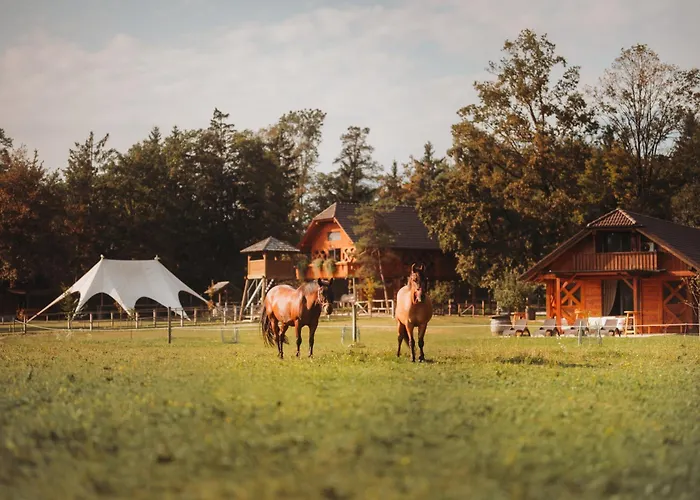 Ranc Mackadam Ranch Mackadam