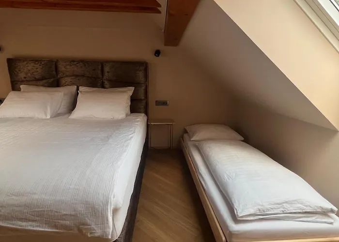 Ranc Mackadam Ranch Mackadam 度假居 Tržič